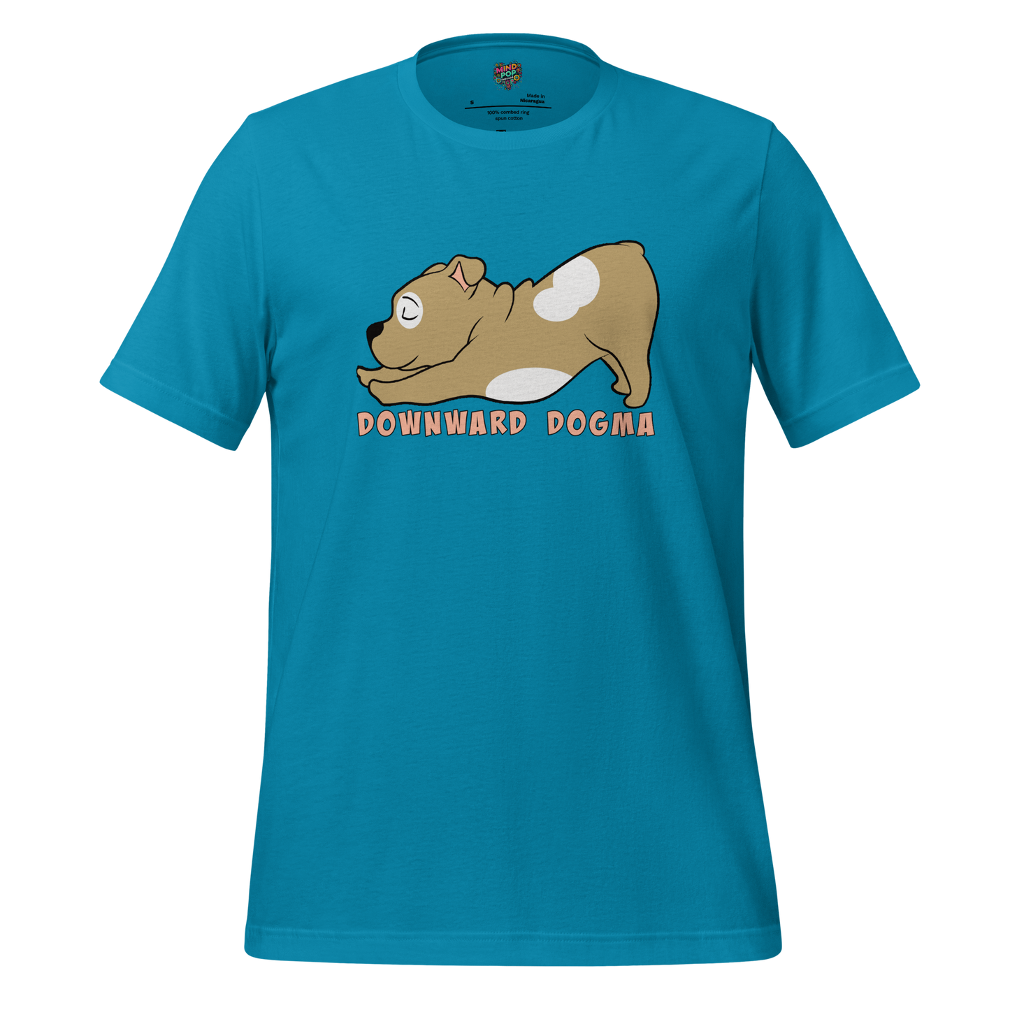 Downward Dogma Shirt Aqua