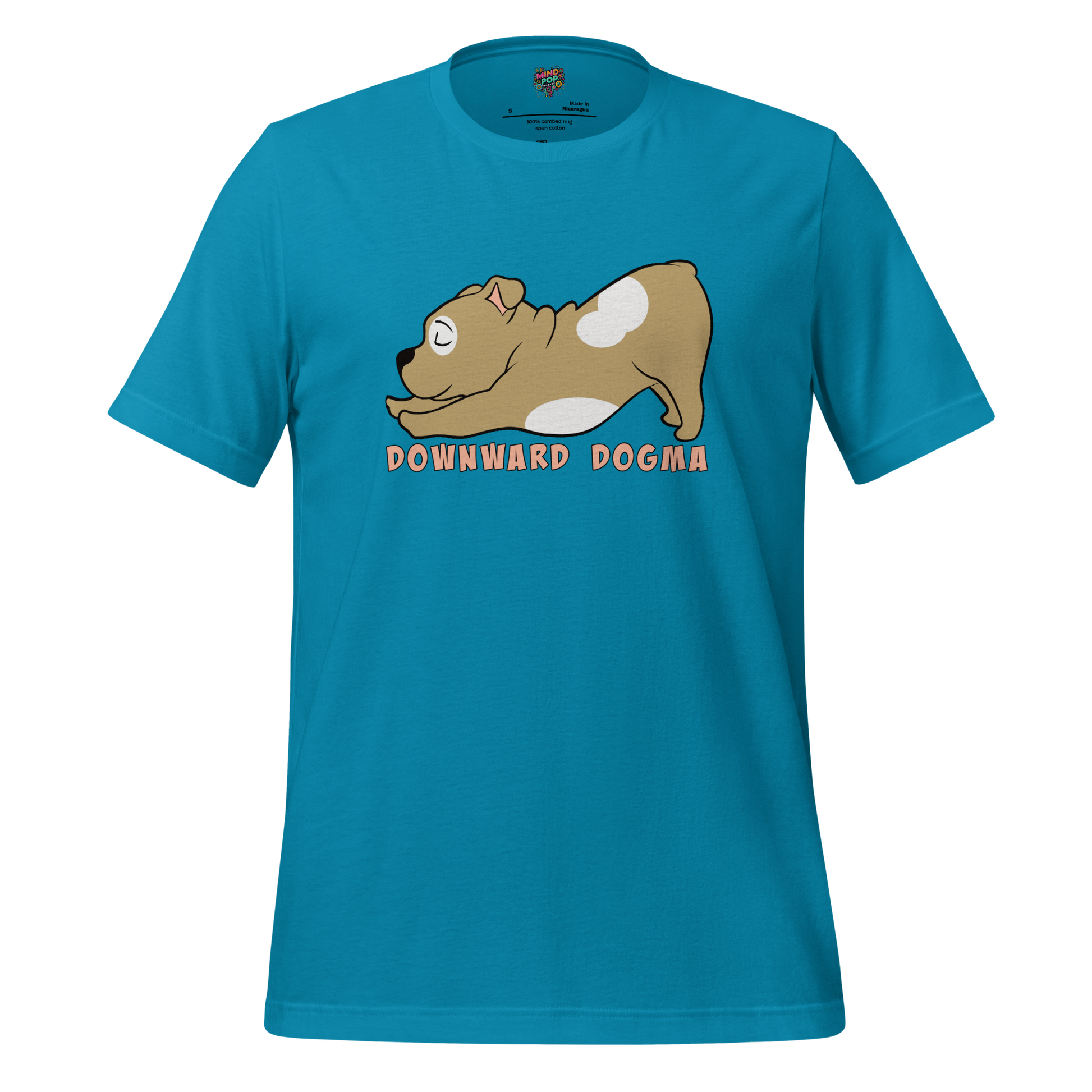 Downward Dogma Shirt Aqua