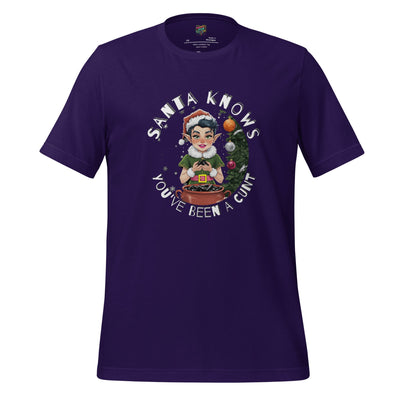 Santa Knows You’ve Been a Cunt Shirt Team Purple