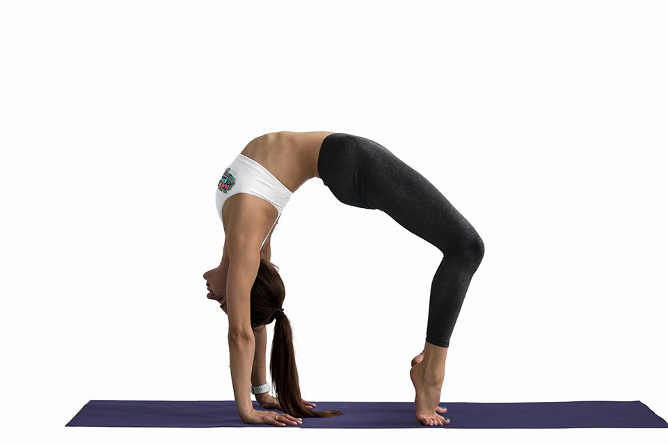 Premium Womens Yoga Pants