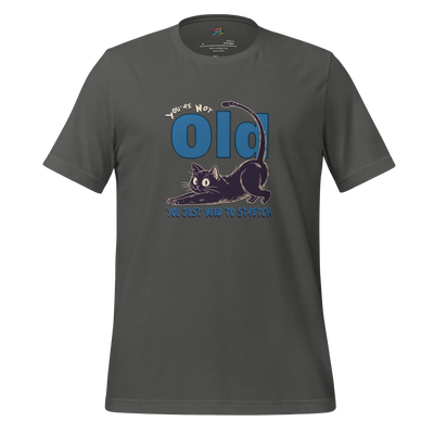 You're Not Old Shirt Asphalt