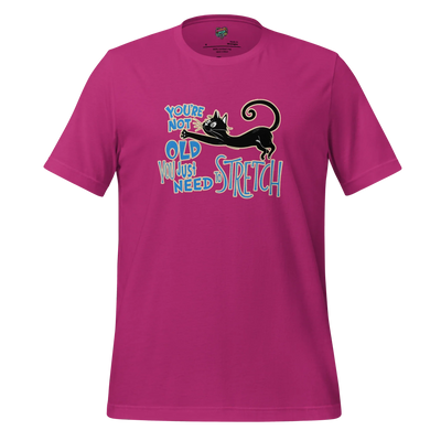 You're Not Old (dr. Seuss style) Shirt Berry